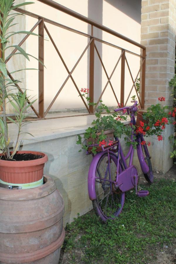 Alle Terme B&B Rapolano Terme Exterior foto